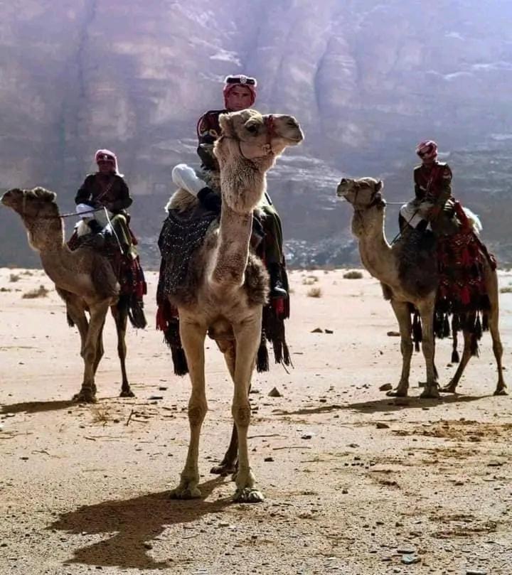 Enad Desert Camp 瓦迪拉姆 外观 照片