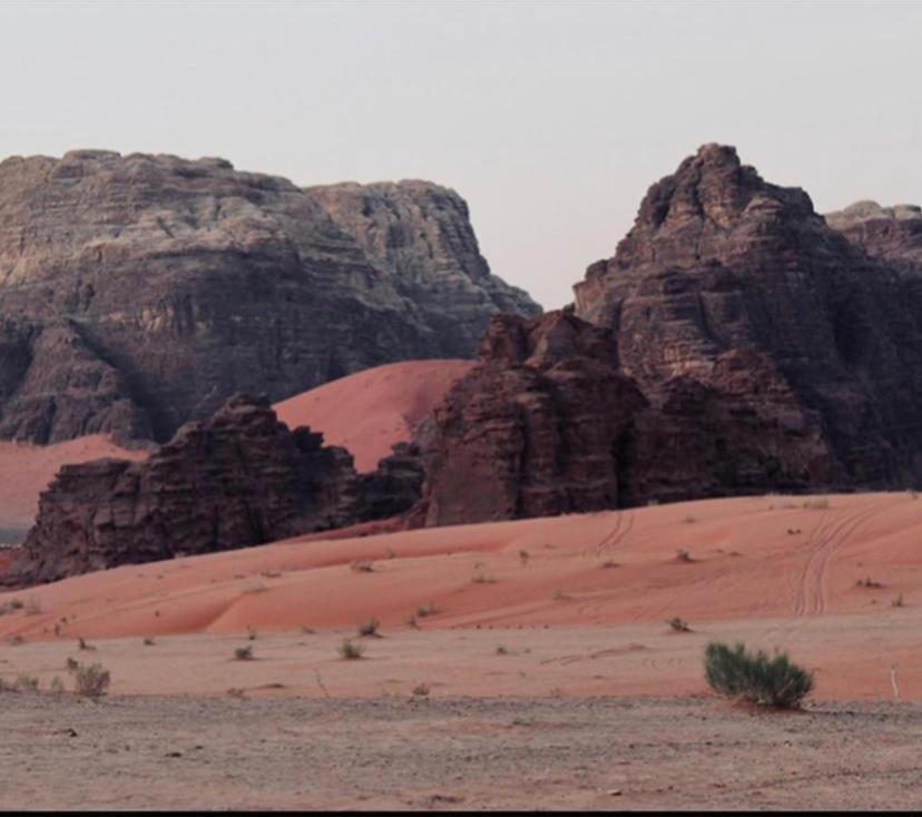 Enad Desert Camp 瓦迪拉姆 外观 照片