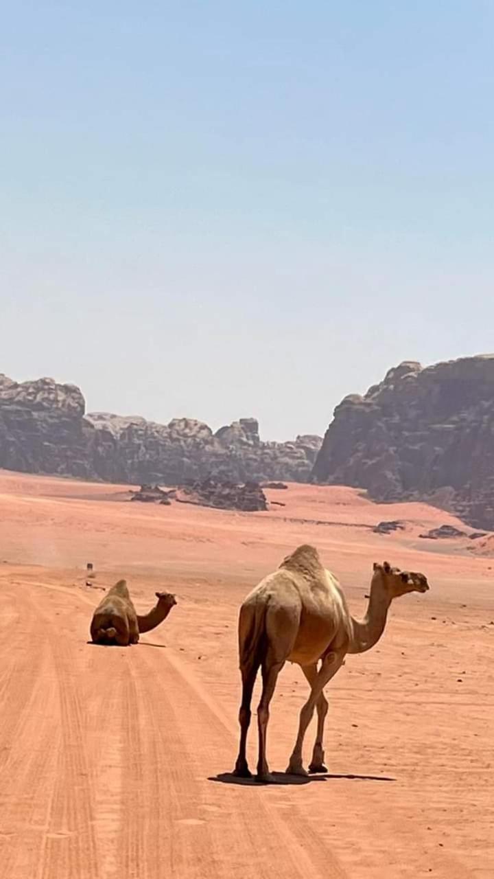 Enad Desert Camp 瓦迪拉姆 外观 照片