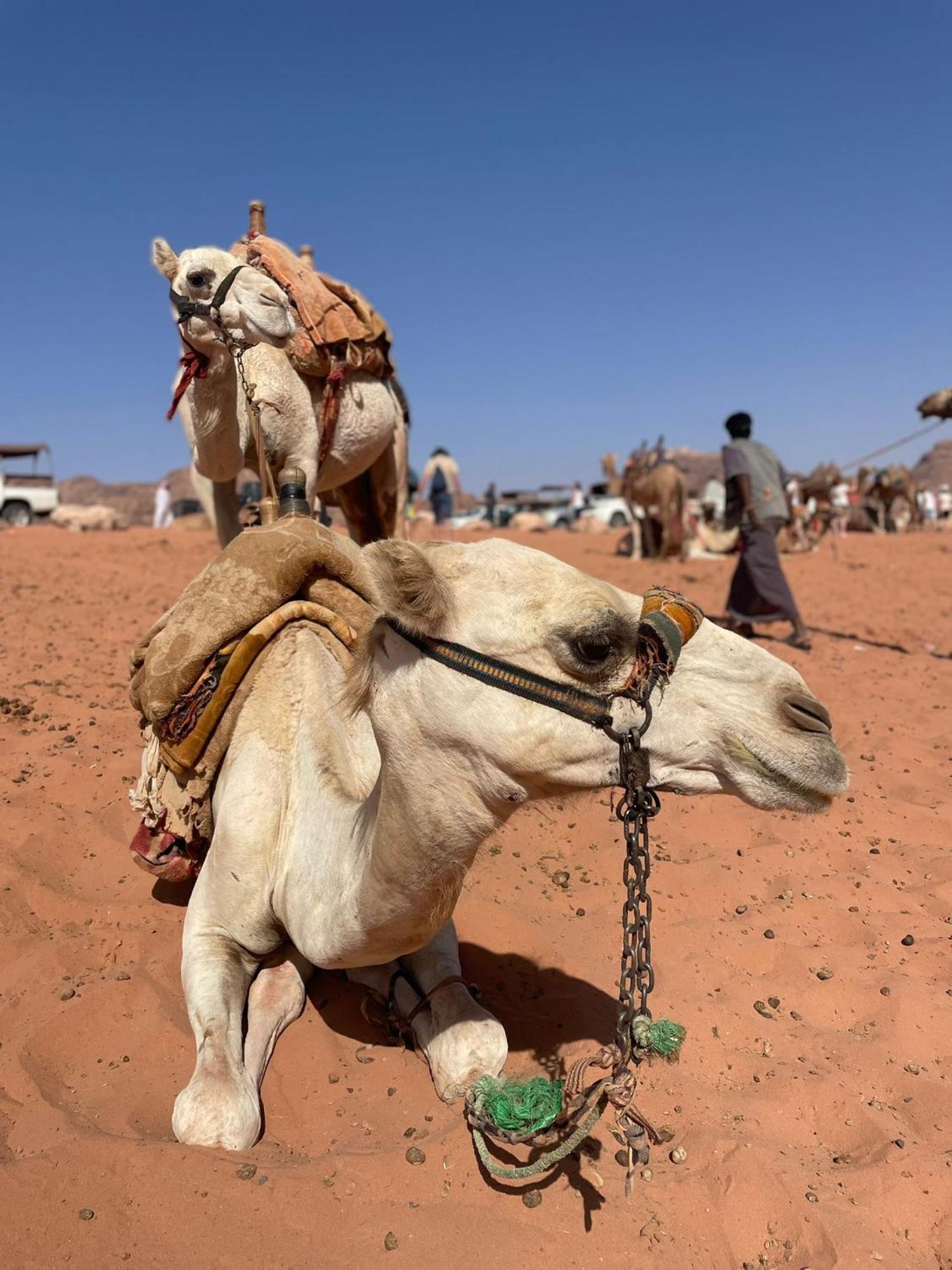 Enad Desert Camp 瓦迪拉姆 外观 照片